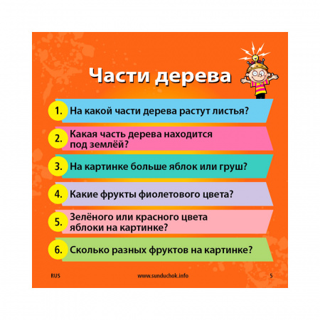 Сундучок знаний: Мои первые знания